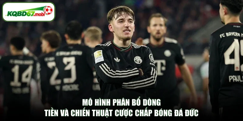 Mô hình phân bổ dòng tiền và chiến thuật cược chấp bóng đá Đức