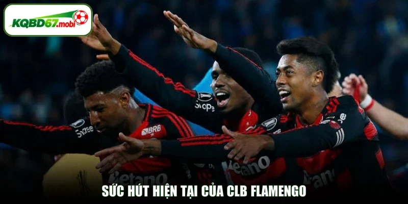 Sức hút hiện tại của CLB Flamengo